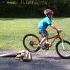 Jaiden's Bikes